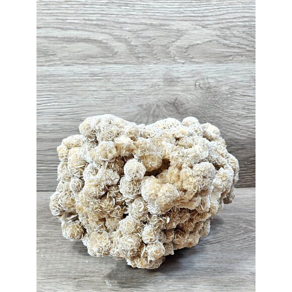 Desert Rose Selenite Natural Raw Gemstone Mineral Crystal Sand Rose Stone 6.5lbs - Picture 5 of 15